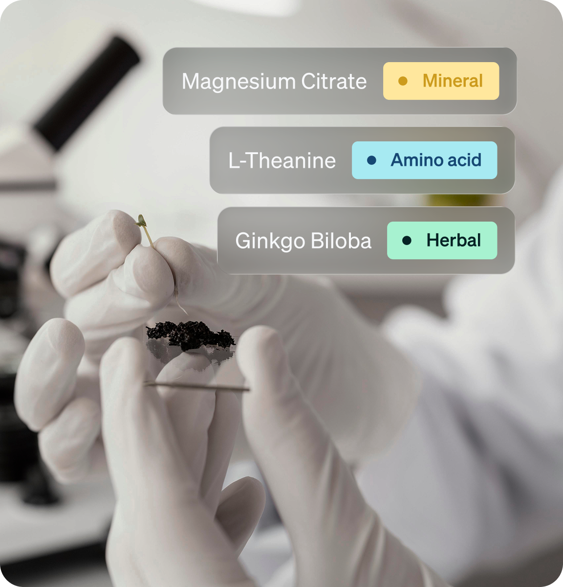 Proven Ingredients, Backed by Research